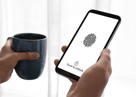 Cybersecurity and Online Privacy